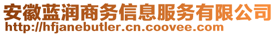 安徽藍(lán)潤(rùn)商務(wù)信息服務(wù)有限公司