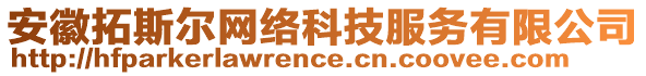 安徽拓斯爾網絡科技服務有限公司