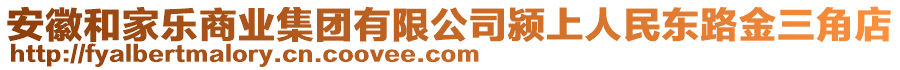 安徽和家樂(lè)商業(yè)集團(tuán)有限公司潁上人民東路金三角店