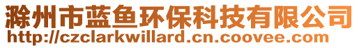 滁州市藍(lán)魚環(huán)保科技有限公司