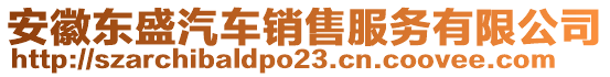 安徽東盛汽車銷售服務(wù)有限公司