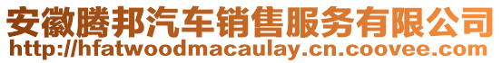 安徽騰邦汽車銷售服務(wù)有限公司