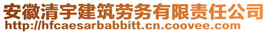 安徽清宇建筑勞務(wù)有限責(zé)任公司