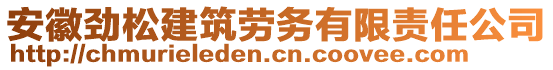 安徽勁松建筑勞務(wù)有限責(zé)任公司