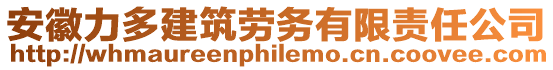 安徽力多建筑勞務(wù)有限責(zé)任公司