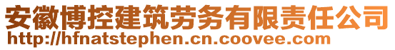 安徽博控建筑勞務(wù)有限責(zé)任公司