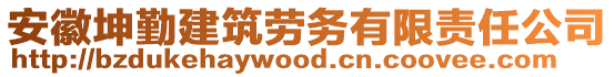 安徽坤勤建筑勞務(wù)有限責任公司