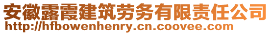 安徽露霞建筑勞務(wù)有限責(zé)任公司