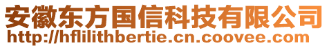 安徽東方國(guó)信科技有限公司