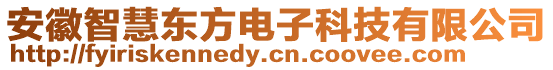 安徽智慧東方電子科技有限公司