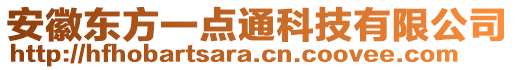 安徽東方一點(diǎn)通科技有限公司