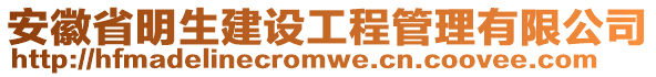 安徽省明生建設(shè)工程管理有限公司