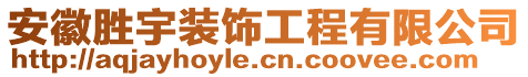 安徽勝宇裝飾工程有限公司