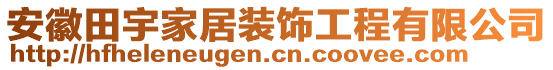 安徽田宇家居裝飾工程有限公司