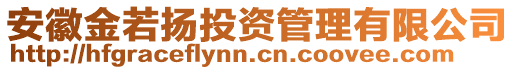 安徽金若揚(yáng)投資管理有限公司