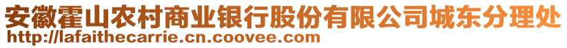安徽霍山農(nóng)村商業(yè)銀行股份有限公司城東分理處