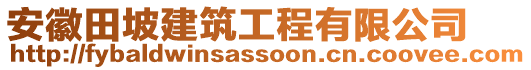 安徽田坡建筑工程有限公司