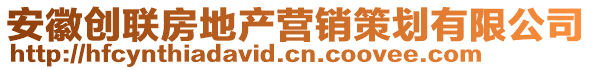 安徽創(chuàng)聯(lián)房地產營銷策劃有限公司