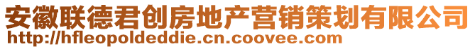 安徽聯(lián)德君創(chuàng)房地產(chǎn)營(yíng)銷(xiāo)策劃有限公司