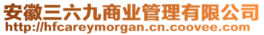 安徽三六九商業(yè)管理有限公司