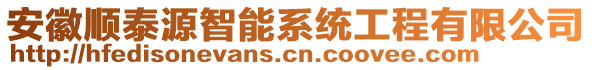 安徽順泰源智能系統(tǒng)工程有限公司