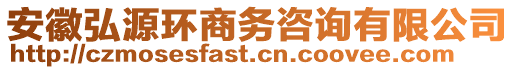 安徽弘源環(huán)商務(wù)咨詢有限公司