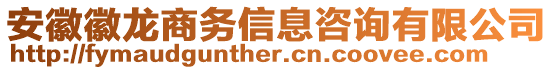 安徽徽龍商務(wù)信息咨詢有限公司