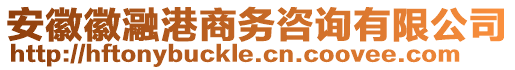 安徽徽瀜港商務(wù)咨詢有限公司