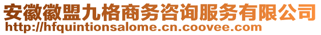 安徽徽盟九格商務咨詢服務有限公司