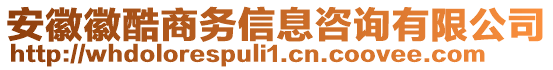 安徽徽酷商務(wù)信息咨詢有限公司