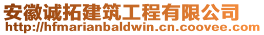 安徽誠拓建筑工程有限公司