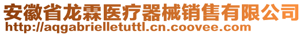 安徽省龍霖醫(yī)療器械銷售有限公司