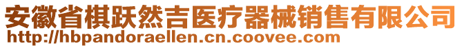 安徽省棋躍然吉醫(yī)療器械銷(xiāo)售有限公司