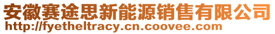 安徽賽途思新能源銷售有限公司