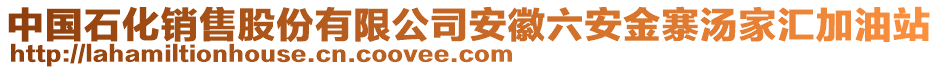 中国石化销售股份有限公司安徽六安金寨汤家汇加油站