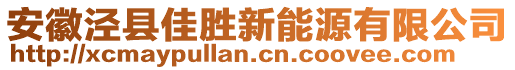 安徽涇縣佳勝新能源有限公司