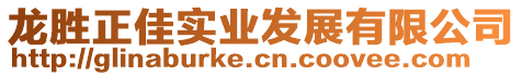 龍勝正佳實(shí)業(yè)發(fā)展有限公司