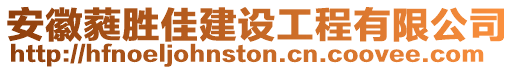 安徽蕤勝佳建設(shè)工程有限公司