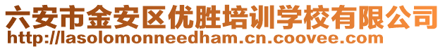 六安市金安區(qū)優(yōu)勝培訓學校有限公司