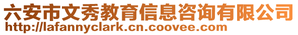 六安市文秀教育信息咨詢有限公司