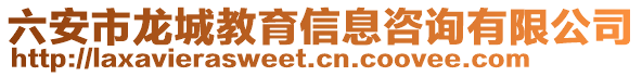 六安市龍城教育信息咨詢有限公司