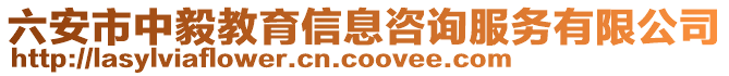 六安市中毅教育信息咨詢服務(wù)有限公司