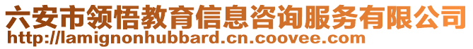 六安市領悟教育信息咨詢服務有限公司