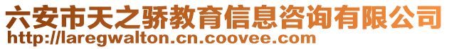 六安市天之驕教育信息咨詢有限公司