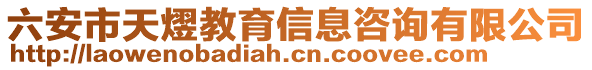 六安市天熤教育信息咨詢有限公司