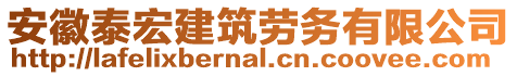 安徽泰宏建筑勞務(wù)有限公司