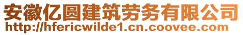 安徽億圓建筑勞務(wù)有限公司