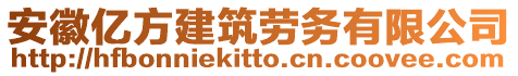 安徽億方建筑勞務(wù)有限公司