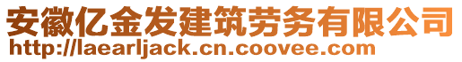 安徽億金發(fā)建筑勞務(wù)有限公司