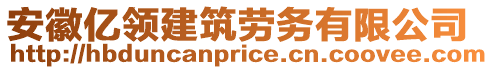 安徽億領(lǐng)建筑勞務(wù)有限公司